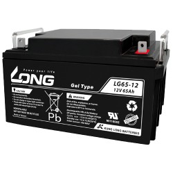 Batería Long LG65-12 65Ah - 1